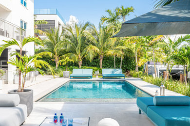 Inspiration for a swimming pool in Miami.