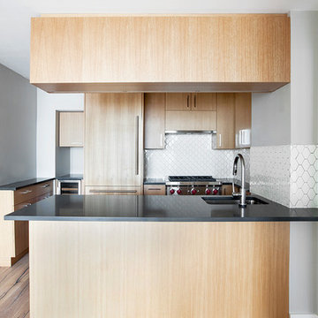 Battery Park City Residence