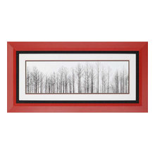 Frames