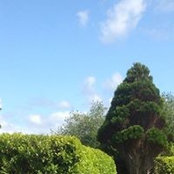 Maureen Linnane's photo