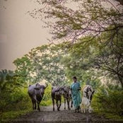 Foto von Srini Vasan