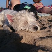 Maria K's photo