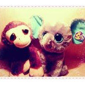 Helen Li's photo