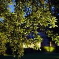 Iconlux - Landscape Lighting's profile photo
