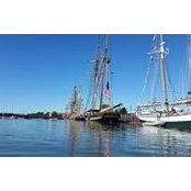 David Guba's photo