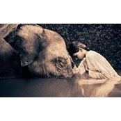 Mary Novinger-Ulring's photo