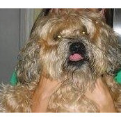 Kathryn Hertzmark's photo