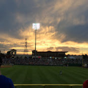 Andy Starr's photo