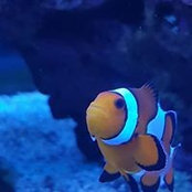 Geoff Ubdegrove's photo