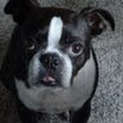 Alyssa Mercer's photo
