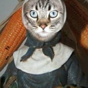 Janice Mendelson's photo