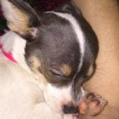 Samantha Mueller's photo