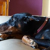 Shanna Dollarhide's photo