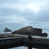 Phillip Nguyen's photo