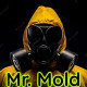 Mr. Mold