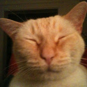Leslie Lamberson's photo