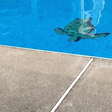 Sea Turtle Russ Pool