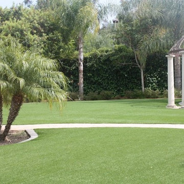 Turf