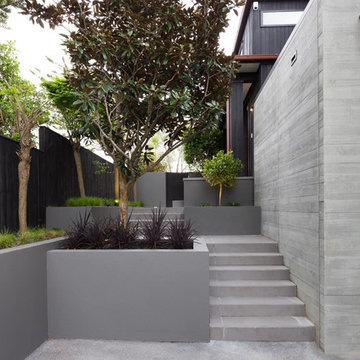 Mairangi Bay House