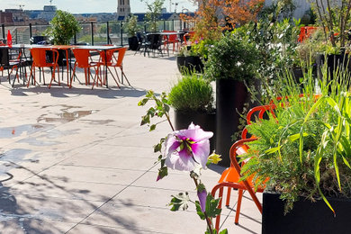 Idées déco pour une terrasse éclectique.