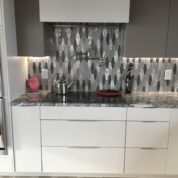 Sleek Modern Kitchen