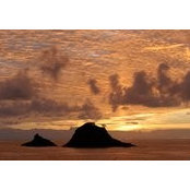 Nicole Buckberg's photo