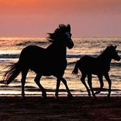 Penny Mangini's photo