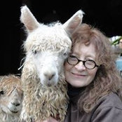 Kathy Greysmiths foto