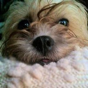Aida Curcio's photo
