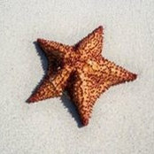 Roberta Craig's photo