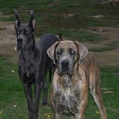 Chris Hoch's photo