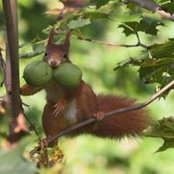 Pomme Thyssen's photo