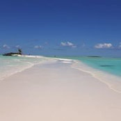 Angelique Gervais's photo