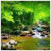 Amy Fairfield's photo