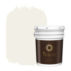 Paint Color Sw 6679 Full Moon From Sherwin Williams Houzz Kilz Brands Tb 08 5 Gal Architectural White Interior Paint