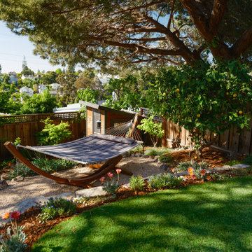 Oakland Backyard with Rock Paper Scissors