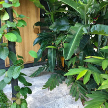 Atriums