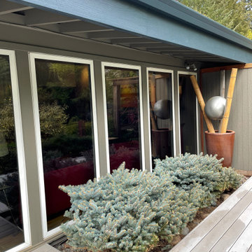 Soothing colors for a tranquil garden