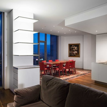 Salt Lake City Penthouse
