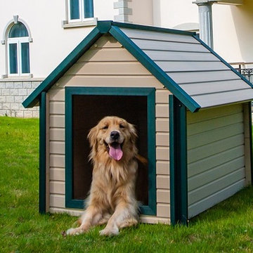 Backyard design with dog house