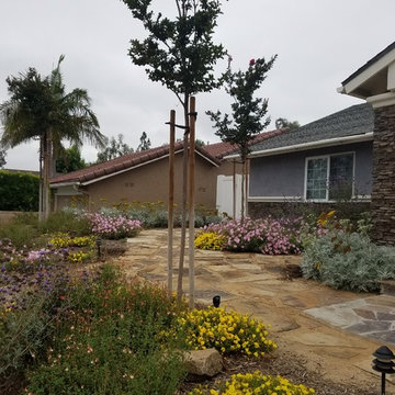 Mission Viejo Front Yard
