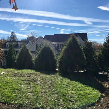 Villanova Plant Design and Install