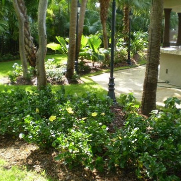 MIAMI LANDSCAPING DESIGN