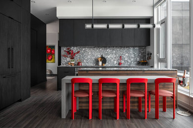 Kitchen - contemporary kitchen idea in Toronto