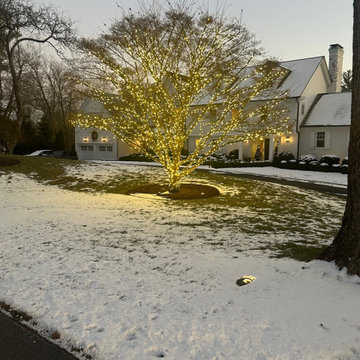 Christmas Decorations and Outdoor Lights