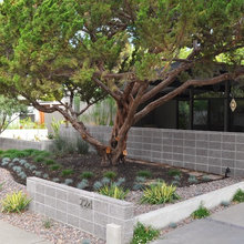 Front yard Lanscape