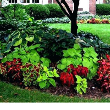 Landscape Projects