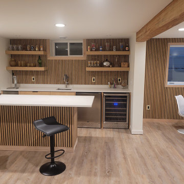 Roseville Mid Century Basement