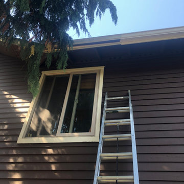 Monica's House in great Seattle