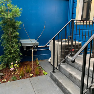 Page St, SF Glass Custom Cellar